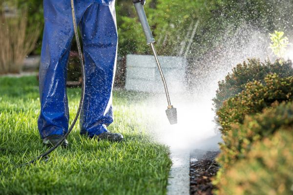 Cost of Curb Cleaning in Greeley