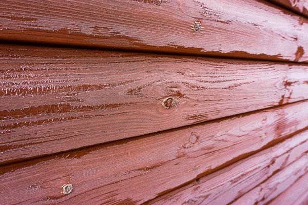 Cost of Cedar Siding Cleaning in Greeley